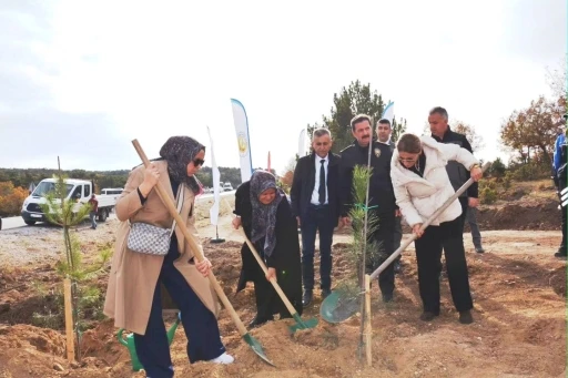 Kütahya’da şehitler için 350 fidan toprakla buluştu
