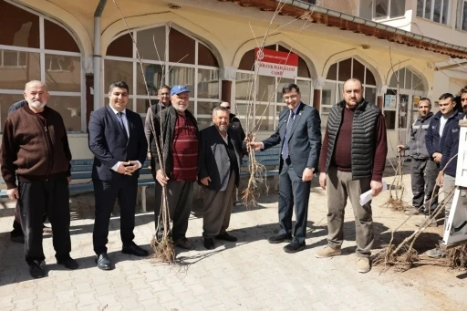 K&uuml;tahya&rsquo;da yerel kiraz t&uuml;rleri yeniden toprakla buluşuyor
