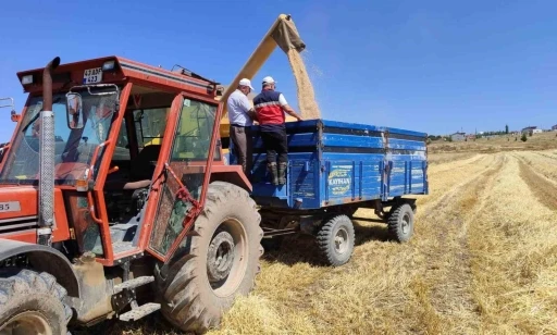 K&uuml;tahya&rsquo;da yerli ve milli arpa &ccedil;eşitlerinin hasadı yapıldı
