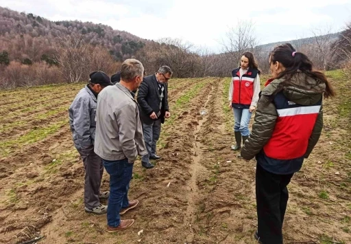 K&uuml;tahya&rsquo;da y&uuml;zde 75 hibeli ahududu bah&ccedil;elerinde kontroller ger&ccedil;ekleştirildi
