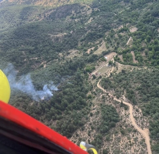 Kütahya’daki orman yangınında 8 dekar alan zarar gördü
