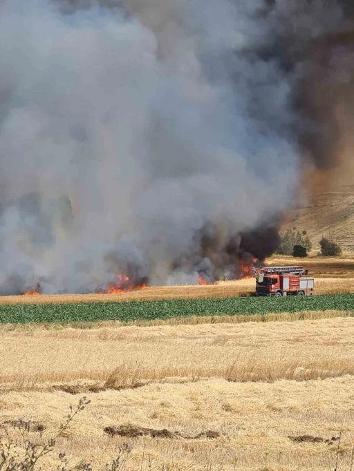 Kütahya’daki tarla yangınında yaklaşık 800 dekarlık hububat ekili alan kül oldu
