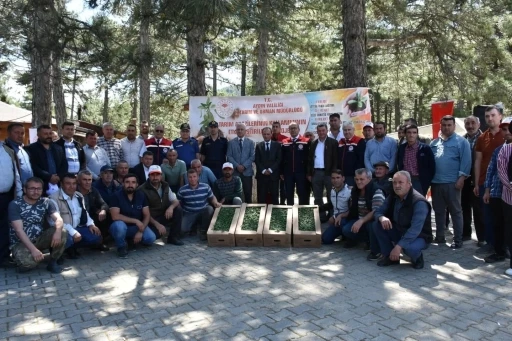 Kuyucak’ta 220 bin domates fidesi dağıtıldı
