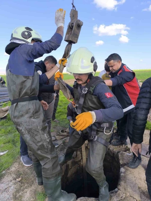 Kuyuya d&uuml;şen inek itfaiye ekiplerince kurtarıldı
