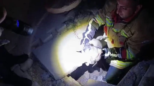 Kuyuya d&uuml;şen yavru k&ouml;peği itfaiye kurtardı
