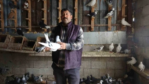 Kuzeninin 7 yaşındayken kendine verdiği g&uuml;vercinle başlayan hevesini 45 yıldır yaşatıyor
