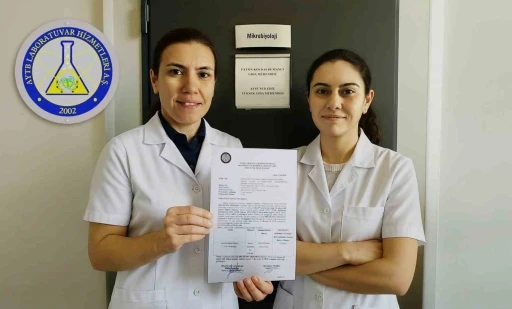 Laboratuvara alınan HBX-HGM71 antimikrobiyal etkisiyle şaşırttı: 10,6 milyar bakteriyi 7 dakikada yok etti
