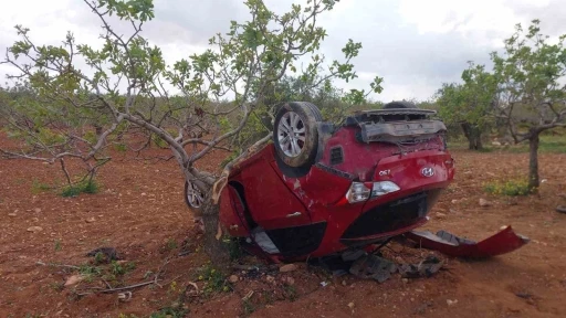 Lastiği patlayan otomobil fıstık bahçesine uçtu: 1 ölü, 2 yaralı
