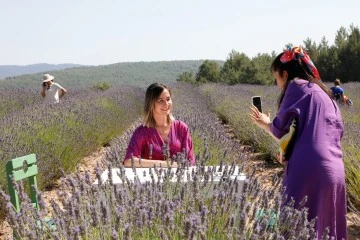 Lavanta Bahçesi’ne Ziyaretçi Akını 
