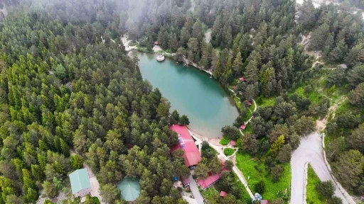 Limni G&ouml;l&uuml; Tabiat Parkı yaz ortasında ziyaret&ccedil;ilerini sis ve serin havayla karşılıyor
