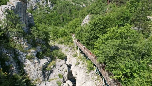 Lübnan merkezli seyahat acentelerinden Kastamonu çıkarması
