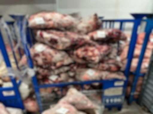 L&uuml;leburgaz&rsquo;da uygunsuz şartlarda saklanan 4 ton 600 kilo ete el konuldu
