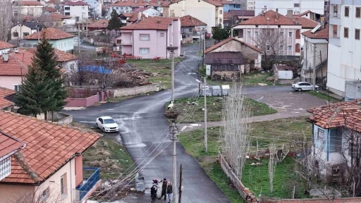 Mahallenin maskotu oldular, baharla birlikte yuvalarına d&ouml;nd&uuml;ler

