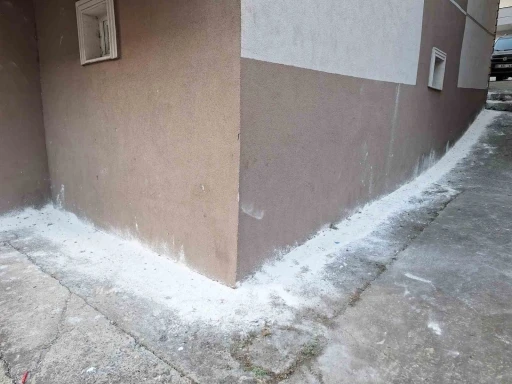 Mahalleyi böcekler bastı, vatandaşlar tedirgin oldu
