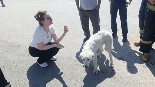 Mahsur kalan k&ouml;peğin sesini sadece o duydu, kurtarıldığında g&ouml;zyaşlarına boğuldu
