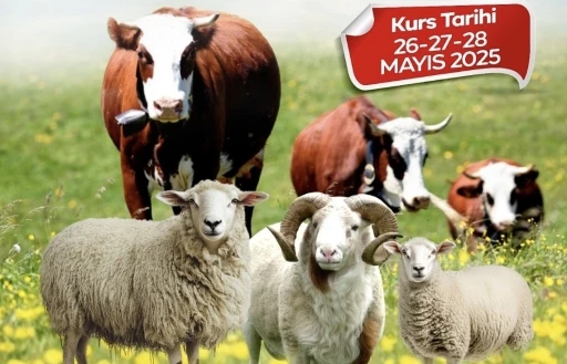 Malatya Büyükşehir Belediyesi’nden kurban kesim kursu
