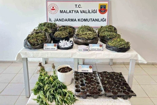 Malatya’da 13 kilo esrar ele geçirildi: 5 şahıs tutuklandı
