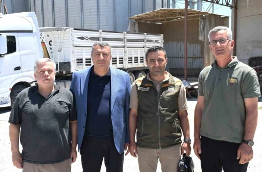 Malatya&rsquo;da arpa ve buğday alımları s&uuml;r&uuml;yor
