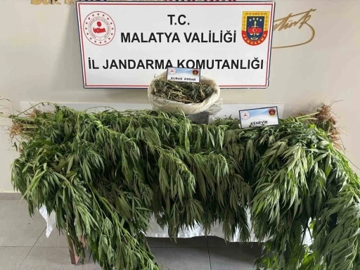 Malatya’da jandarmadan uyuşturucu operasyonu
