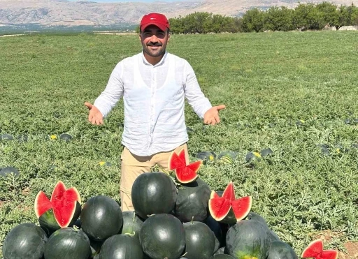 Malatya’da karpuz ve kavun hasadı yüz güldürüyor
