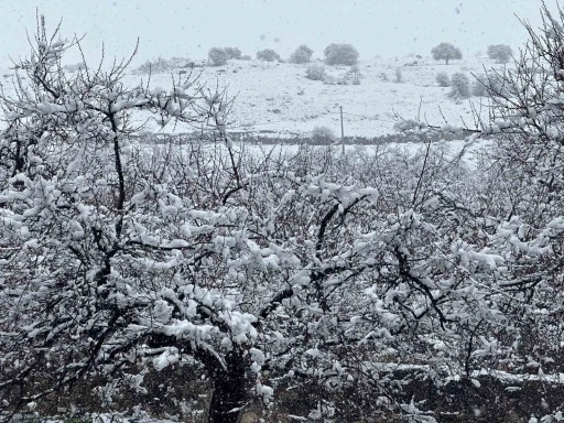 Malatya&rsquo;da kayısı bah&ccedil;eleri kar altında kaldı
