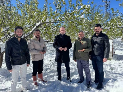 Malatya’da kayısı da don felaketi
