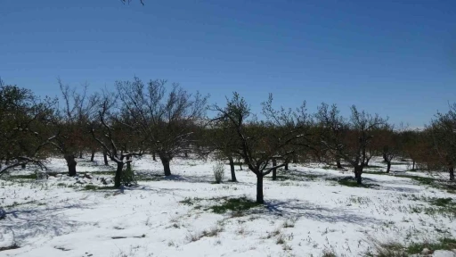 Malatya&rsquo;da kayısıda don endişesi

