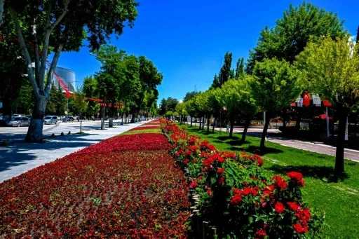 Malatya&rsquo;da park ve kavşaklar &ccedil;i&ccedil;eklerle s&uuml;slendi
