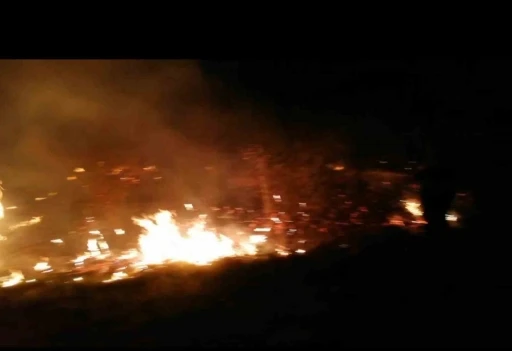 Malatya’da sazlık yangını
