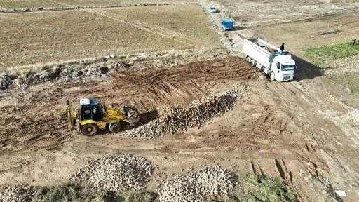 Malatya’da şeker pancarında yüksek verim çiftçinin yüzünü güldürdü
