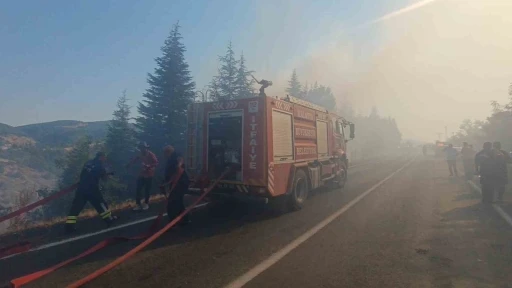 Malatya’daki orman yangınına havadan ve karadan müdahale sürüyor
