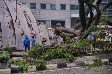 Malezya’da ağaç devrildi: 1 kişi öldü, 17 araçta hasar oluştu
