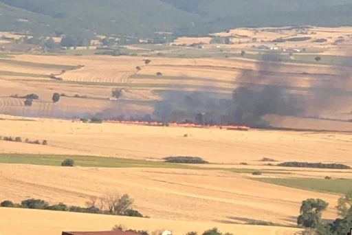 Malkara’da anız yangını: 200 dönüm buğday tarlası kül oldu
