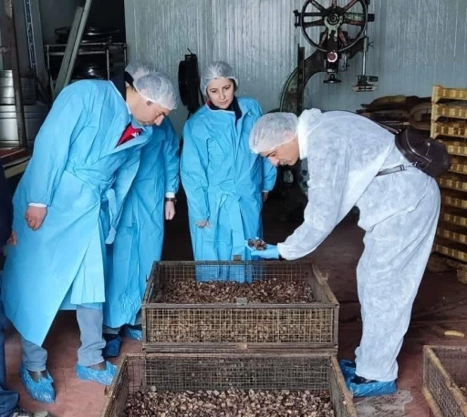 Mama hammadde &uuml;retim tesisinde inceleme
