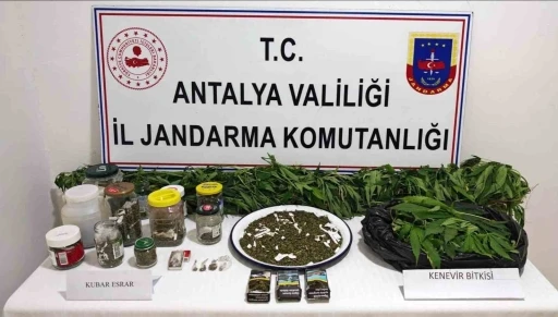 Manavgat&rsquo;ta 2 kilo kubar esrar ve 130 k&ouml;k kenevir ele ge&ccedil;irildi
