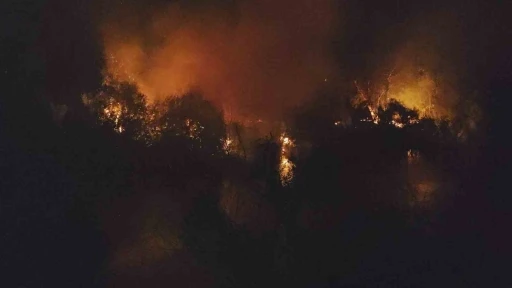Manavgat’ta ırmak kenarındaki yangın korkuttu
