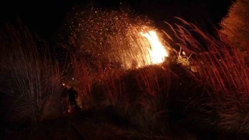 Manavgat’ta sazlık alanda yangın

