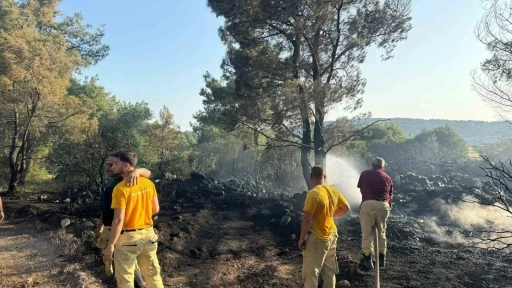 Mangal yakarak orman yangınına neden olan şahıs tutuklandı
