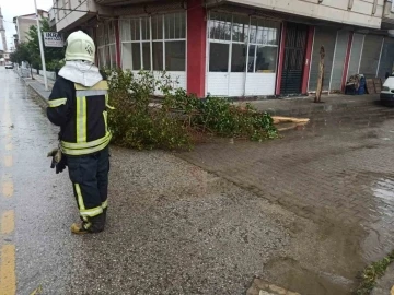 Manisa Büyükşehir ekiplerinden fırtına ve yağış mesaisi
