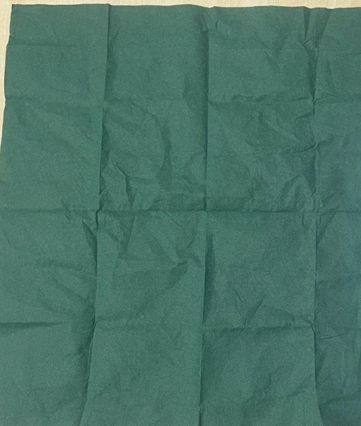 Manisa&rsquo;da aranan ş&uuml;pheliden 2 bin 500 i&ccedil;imlik u&ccedil; bonzai &ccedil;ıktı
