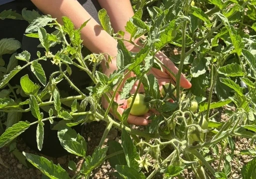 Manisa’da geri dönüşümle doğal yaşam sınıfı kuruldu
