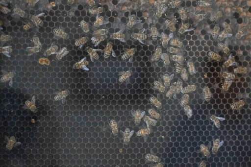 Manisa&rsquo;da kırsal kalkınmaya 144 milyon TL&rsquo;lik dev yatırım
