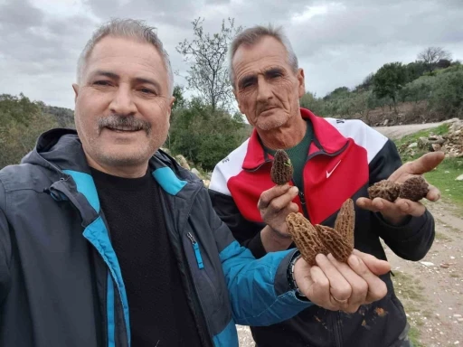 Manisa&rsquo;da kuzug&ouml;beği tutkusu engel tanımıyor
