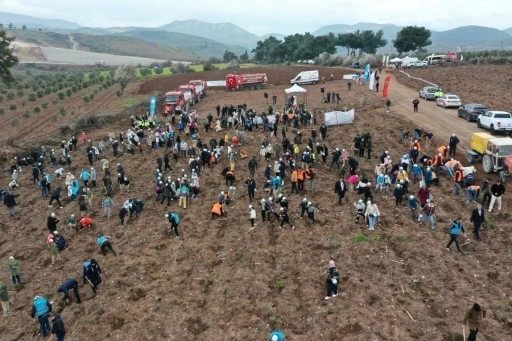 Manisa&rsquo;da Orman Haftası&rsquo;nda binlerce fidan toprakla buluştu
