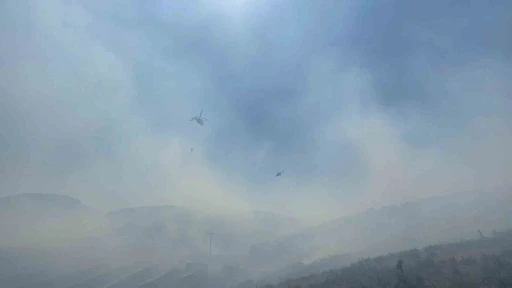 Manisa’da ormanlık alanda yangın: Havadan ve karadan müdahale başladı
