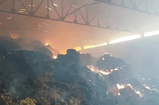 Manisa’da samanlık yangını: Binlerce balya saman kül oldu
