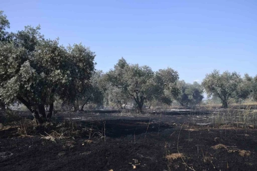 Manisa’da tarım arazisinde yangın
