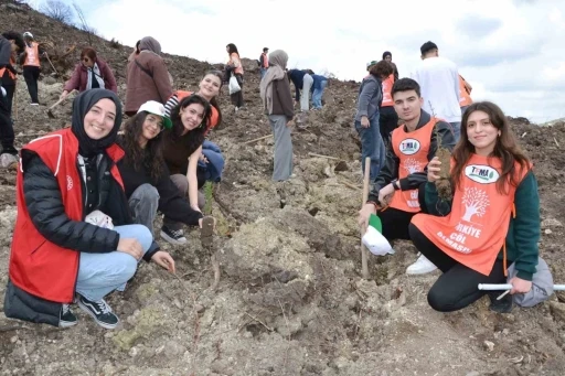 Manisa&rsquo;da yanan alanlar yeniden yeşeriyor
