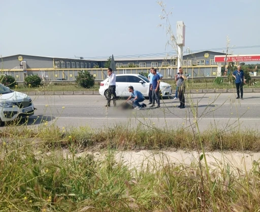 Manisa&rsquo;da yolcu otob&uuml;s&uuml;n&uuml;n &ccedil;arptığı yaya kurtarılamadı
