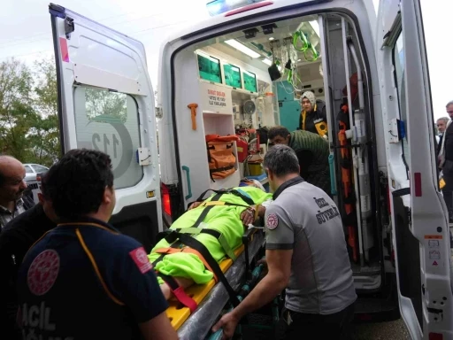 Mantar toplarken ayının saldırısına uğrayan imam yaralandı
